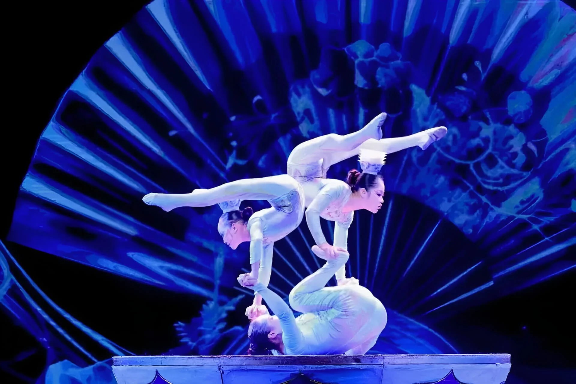 北京红剧场杂技演出精彩剧照